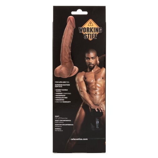 CEN - Working Stiff Trainer Dildo - Caramel 照片