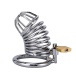 XX-Dreamstoys - Snake Metal Cock Cage photo