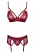 Obsessive - Wonderia Set 3 pcs - Ruby - S/M photo-7