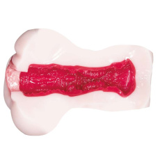 NPG - Mori Hinako Young Wife Masturbator photo