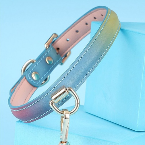 MT - Collar & Leash - Rainbow Blue photo