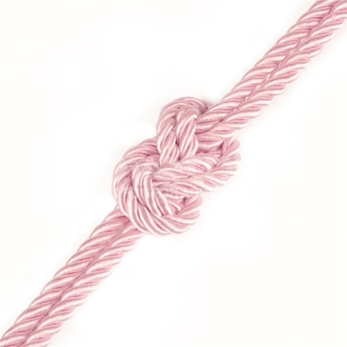 Lovetoy - Rebellion Reign Silky Bondage Rope 10m - Pink photo