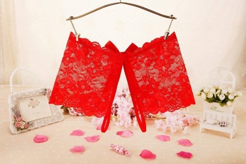 SB - Crotchless Lace Panties w Bow - Red photo