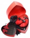 Frisky - Passion Fetish Kit - Black/Red photo