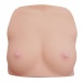 KMP - 3D掃描 - 佐倉絆的乳房 照片-3