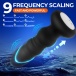 Secwell - Bonus Light Thrusting Plug - Black 照片-2