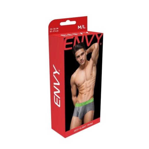 Envy - Sexy Slinky Trunk - Grey - L/XL photo