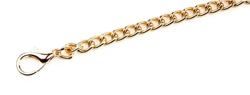 MT - Collar w Leash - Black photo