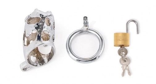 MT - Wild Boar Chastity Cage 45mm - Silver photo