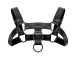 Bedroom Fantasies - Bruno Chest Harness - Black photo-3
