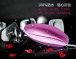 Aphrodisia - Dainty Sparkle 10 Mode Vibration Bullet Vibrator - Pink photo-8