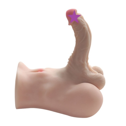 Perfect Toys - Male Ass w Cock Masturbator 照片