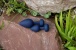 Gvibe Gplug Small first rechargeable butt plug.
Gplug Small... Fun Toys - Gplug Small - Ocean Blue photo-3