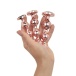 Rosy Gold - Metal Butt Plug 3 pcs 照片-2