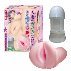 A-One - 人妻飞机杯 照片