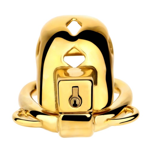 FAAK - Chastity Cage 184 w Belt & Plug - Gold 照片