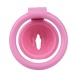 FAAK - Resin Pussy Chastity Cage - Pink 照片-8