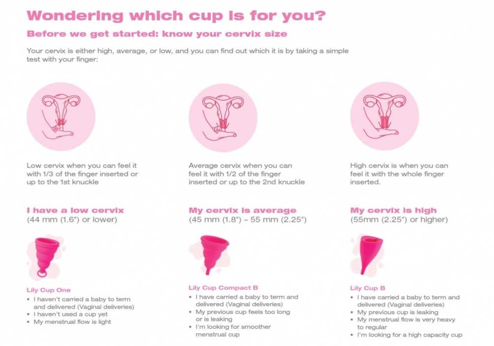 The Ultimate Menstrual Cup for Beginners!
Lily Cup One is ... Intimina Lily Cup One photo-8