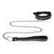 Ouch - Diamond Studded Collar w Leash photo