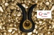 Gvibe - Gvibe Mini - Gold photo-2