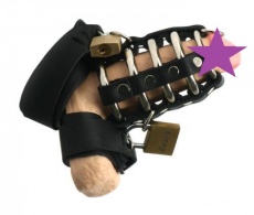 Strict Leather - Gates of Hell Chastity Device photo