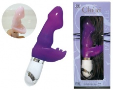 Paris Style - Cheri Vibe - Purple photo