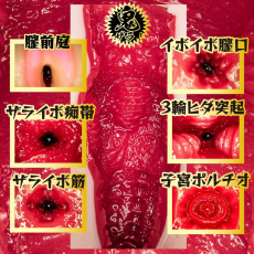 NPG - Rika Tsubaki Onizara Masturbator 照片