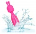 CEN - Tiny Teasers 迷你兔子按摩棒 - 粉红色 照片-7