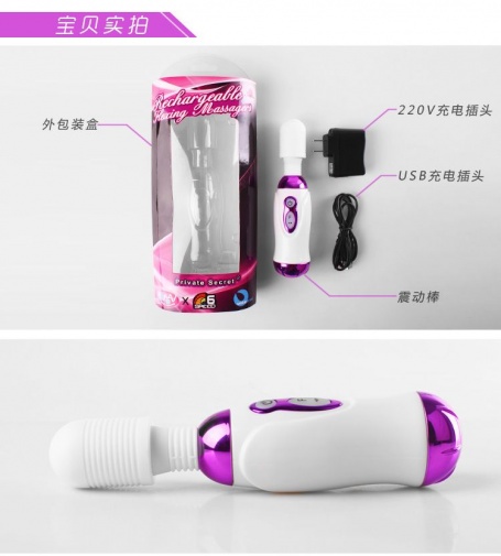 Aphrodisia - Private Rechargeable Flexible Massagers - Purple photo