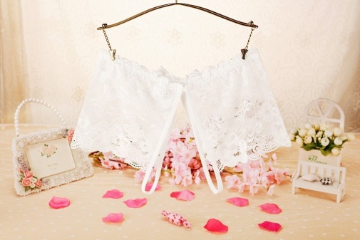 SB - Crotchless Lace Panties w Bow - White photo