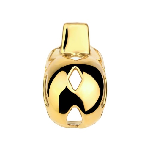 FAAK - Chastity Cage 184 w Belt & Plug - Gold 照片