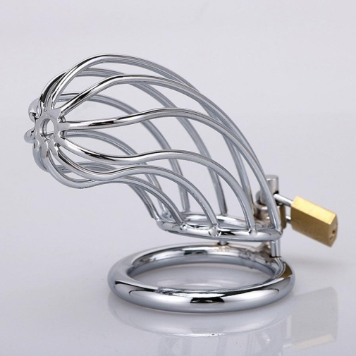 XX-Dreamstoys - Banana Metal Cock Cage photo