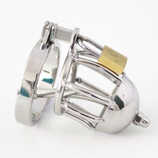 XFBDSM - Chastity Belt Bondage Fetish photo