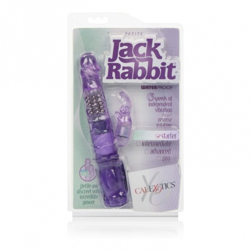 CEN - Petite Jack Rabbit - Purple photo