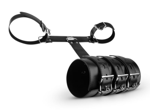 Bedroom Fantasies - Blissfully Bound Arm Restraint Set photo