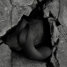 SVAKOM - Benedict 震动双重阴茎环 - 黑色 照片-7