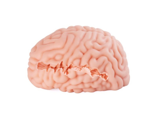 XTC - Brain Hacker DX Masturbator photo